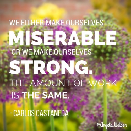 we-either-make-ourselves-miserables-carlos-casteneda-500x500
